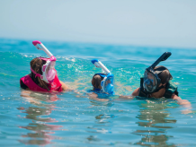 Immersioni e snorkeling