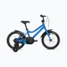 Bici