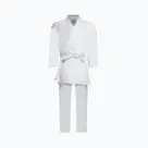 Karate Mizuno