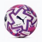 Palloni da calcio PUMA
