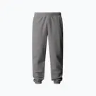 Pantaloni The North Face