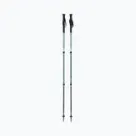 Bastoni da escursionismo