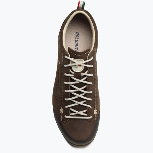 Scarponi da trekking da uomo Dolomite 54 Low FG GTX marrone scuro