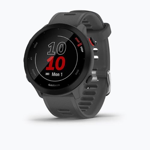Orologio Garmin Forerunner 55 grigio 010-02562-13