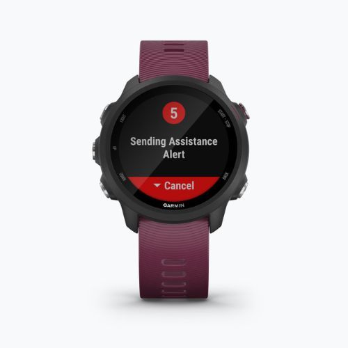 Orologio Garmin Forerunner 245 viola 010-02120-11