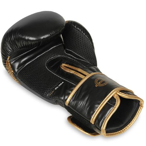 Guanti da boxe DBX BUSHIDO in pelle naturale nera B-2v13