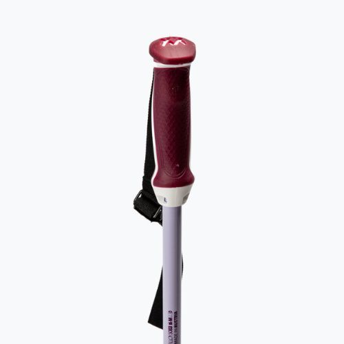 Bastoncini da sci da donna Völkl Phantastick W argento 141017