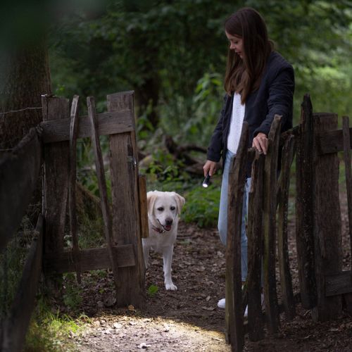 Torcia Ledlenser P5R Core nera