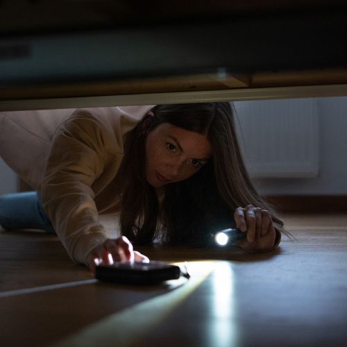 Torcia Ledlenser P5R Core nera