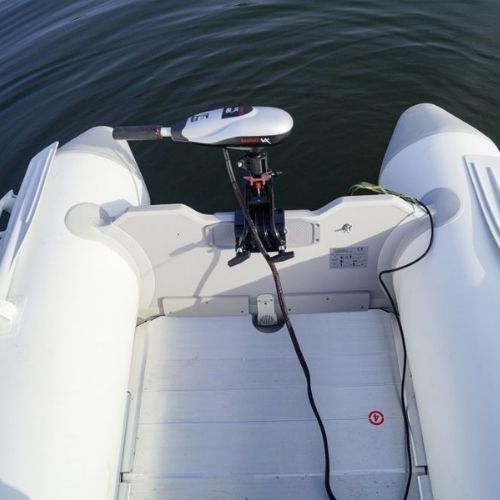 Motore elettrico fuoribordo Rhino VX 54