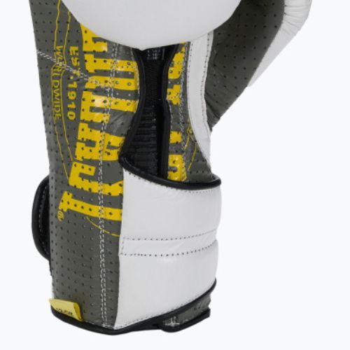 Guantoni da boxe Everlast 1910 Classic Pro bianco EV1910