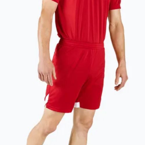 Pantaloncini da allenamento Mizuno Premium Handball da uomo, rosso X2FB9A0262