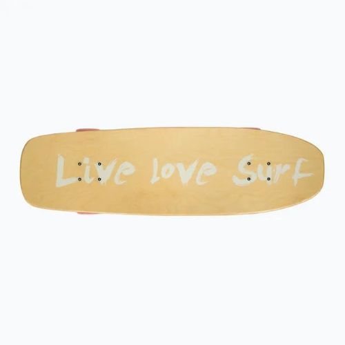 Fish Skateboards Surfskate Wave skateboard