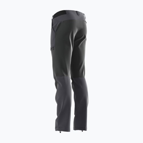 Pantaloni da trekking da uomo Salomon Wayfarer Secure ebano/nero