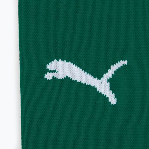 Leggings da calcio PUMA Team League Core pepper green/puma white