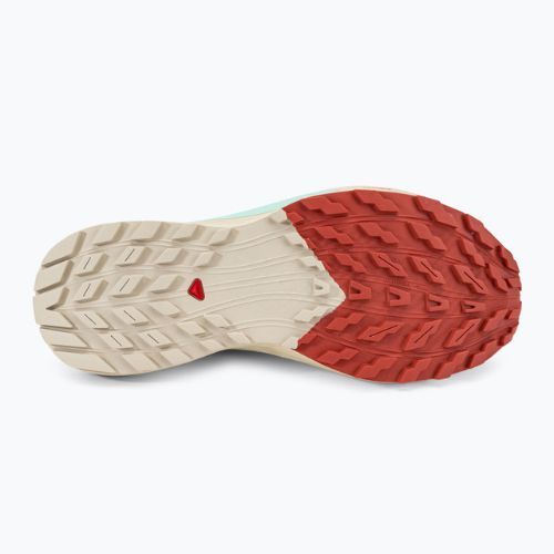 Scarpe da corsa da donna Salomon Sense Ride 5 lily/rainy day/bleached aqua