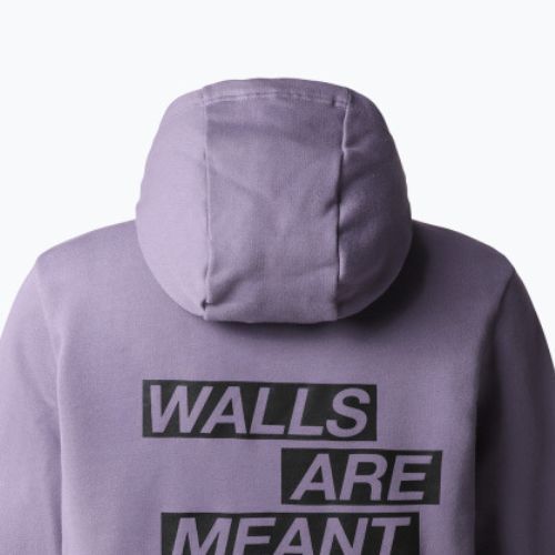 Felpa da trekking da donna The North Face Outdoor Graphic Hoodie Ardesia lunare chiara