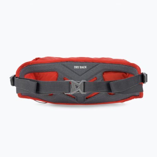 Salewa Lite Train Hipbelt sacchetto di reni alla fiamma