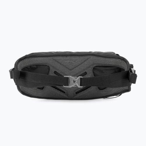 Salewa Lite Train Hipbelt sacca renale nera