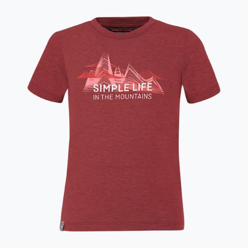 Maglietta da trekking da bambino Salewa Simple Life Dry syrah melange