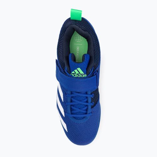 Scarpe da sollevamento pesi adidas Powerlift 5 blu GY8922