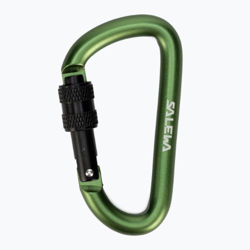 Salewa Carbiner D-Shape con vite verde