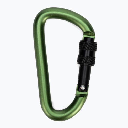 Salewa Carbiner D-Shape con vite verde