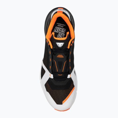 Scarpa da corsa DYNAFIT Ultra 100 nimbus/nero da uomo
