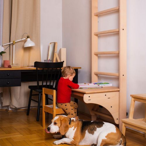 Scala ginnica BenchK bronzo BK-112