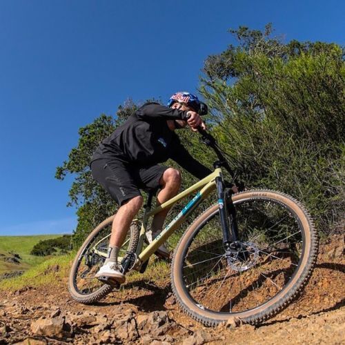 Marin Bobcat Trail 4 29 mountain bike marrone