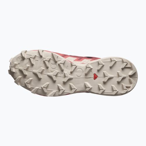 Scarpe da corsa da donna Salomon Speedcross 6 GTX nero/cow hide/faded rose