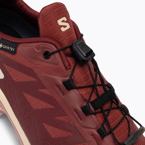 Scarpe da corsa da donna Salomon Supercross 4 GTX pelle di mucca/syrah/blush