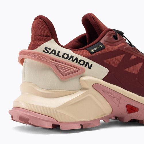 Scarpe da corsa da donna Salomon Supercross 4 GTX pelle di mucca/syrah/blush