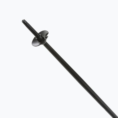 Bastoncini da sci Fizan Storm viola