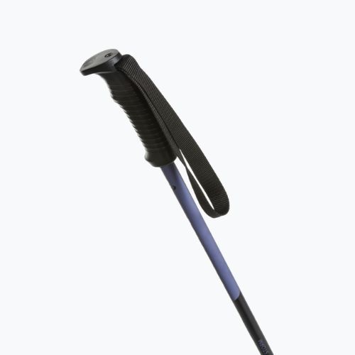 Bastoncini da sci Fizan Storm viola