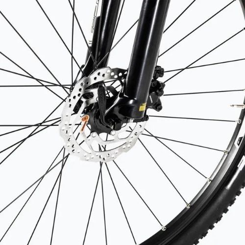 Kellys Spider 90 29" mountain bike grigio/verde