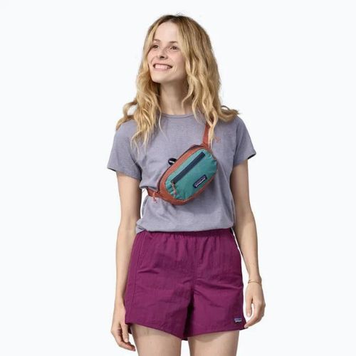 Patagonia Ultralight Black Hole Mini Hip Pack 1 l marsupio burl red kidney