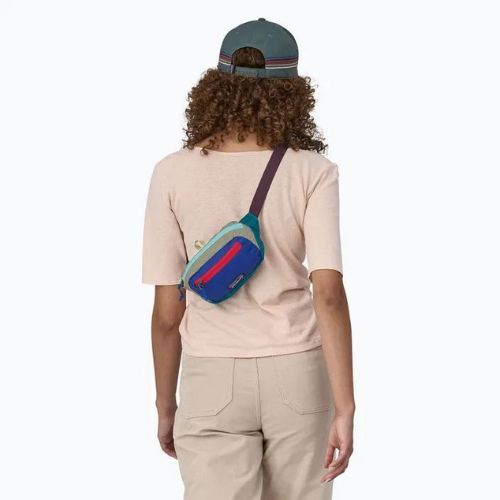 Patagonia Ultralight Black Hole Mini Hip Pack 1 l marsupio patchwork/belay blue