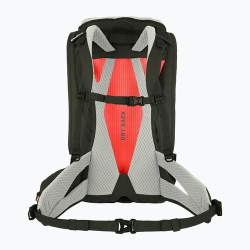 Zaino da trekking Salewa Alp Trainer 25 l ombra/oliva scura