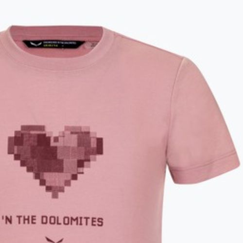 Maglietta da trekking Salewa Graphic Dry zephyr per bambini