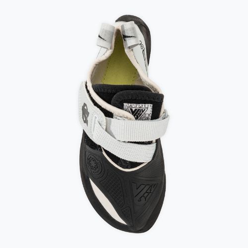 Scarpa da arrampicata da donna Evolv V6 LV grigio/bianco
