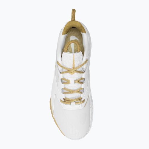 Nike Zoom Hyperace 3 pallavolo scarpe bianco/mtlc oro-photon polvere