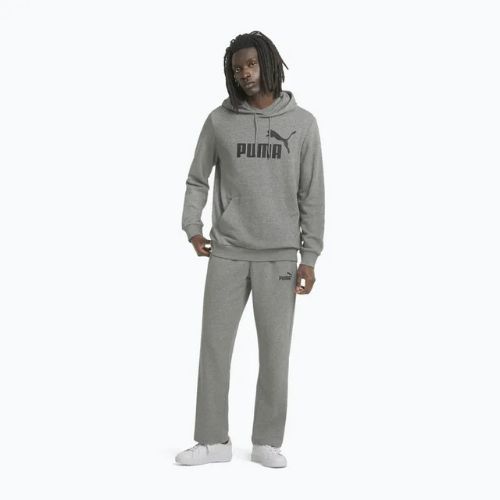 Felpa da uomo PUMA Essentials Big Logo Hoodie TR medium gray heather