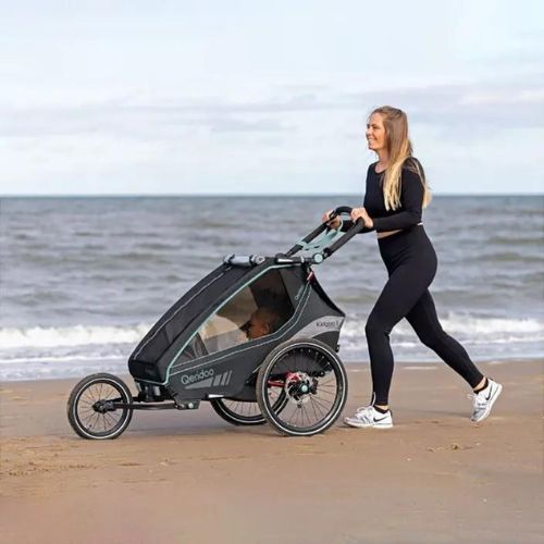 Rimorchio per bicicletta Qeridoo Kidgoo 2 blu/marino scuro