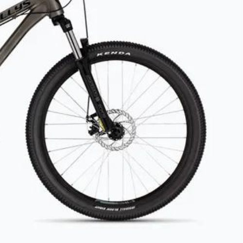 Kellys Whip 10 raw mountain bike