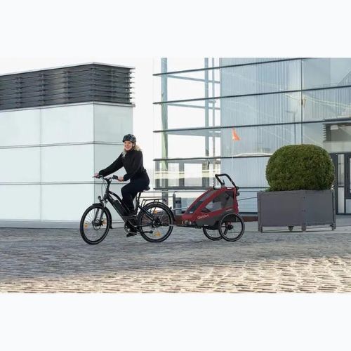 Rimorchio per bicicletta Qeridoo Sportrex 2 rosso cayenne