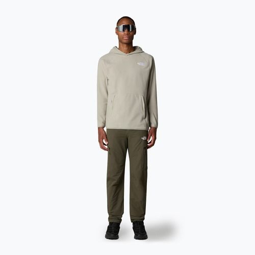 Felpa da uomo The North Face 100 Glacier Hoodie grigio argilla