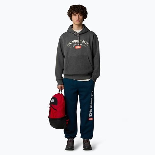 Maglietta da uomo The North Face Varsity Graphic grigio erica medio