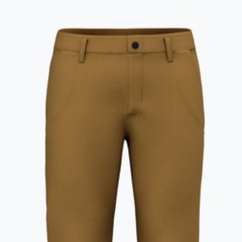 Pantaloni da trekking Salewa da uomo Fanes Hemp marrone dorato