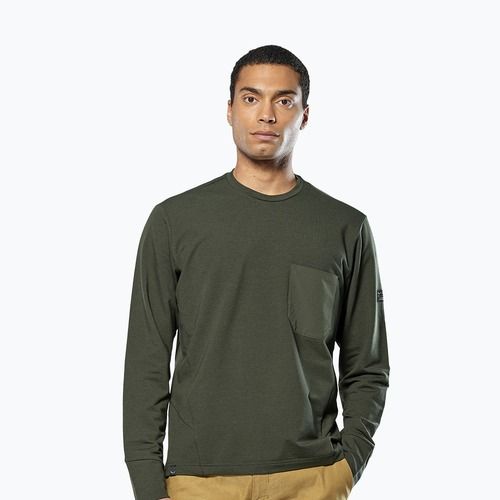 Felpa da uomo Salewa Fanes Dry Pullover verde oliva scuro